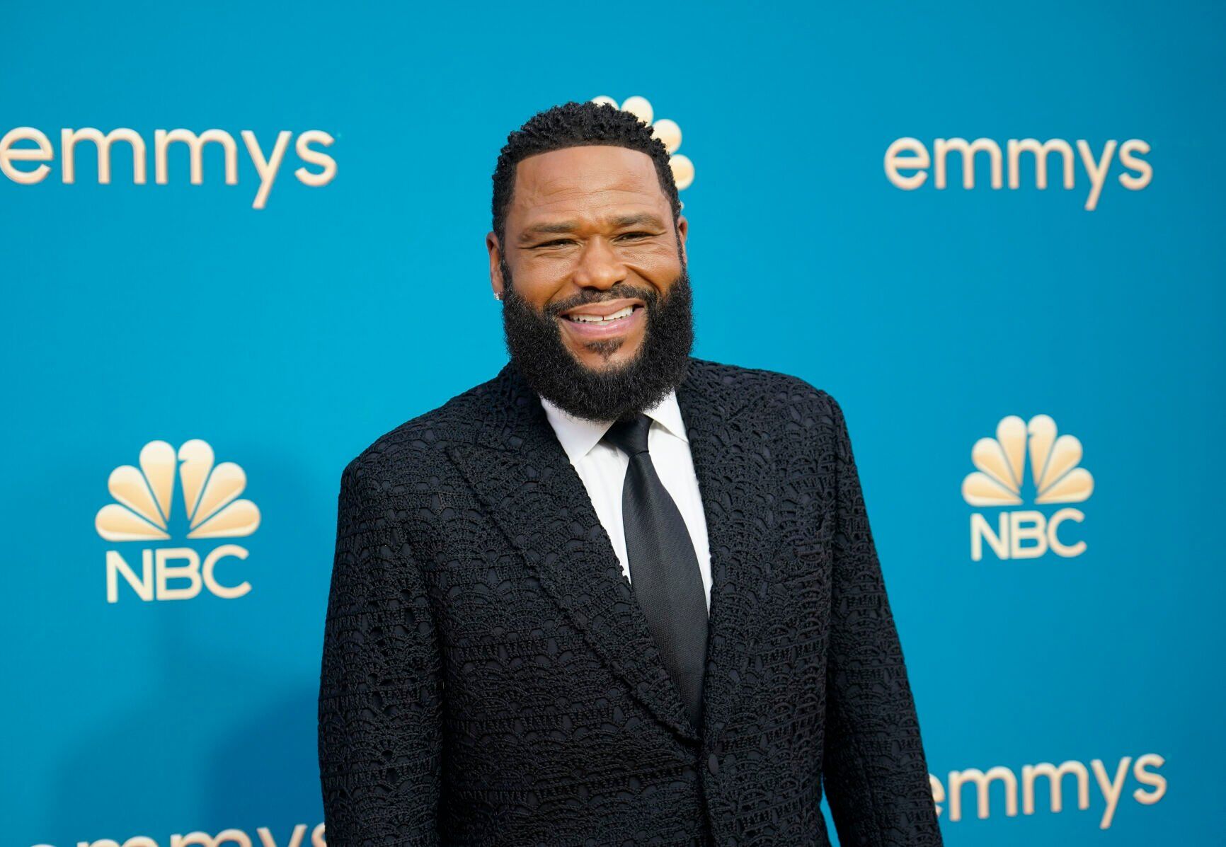 TV Emmy Awards Guide